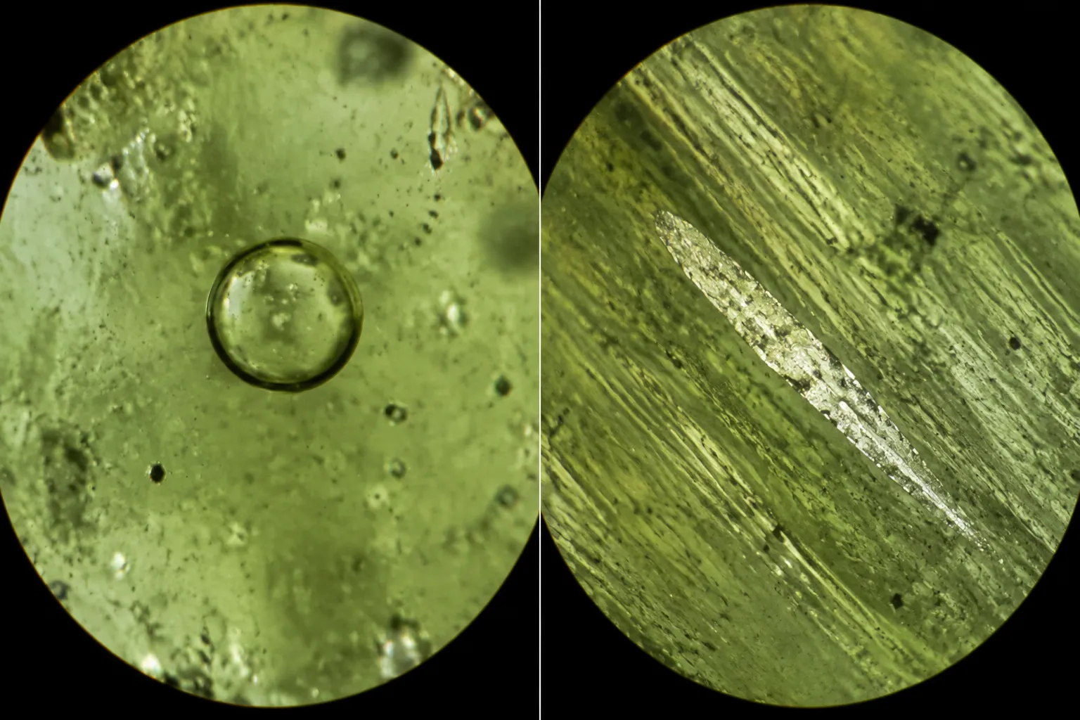 Comparison of a rounded vesicle and a pale silica-rich inclusion in moldavite microscopy